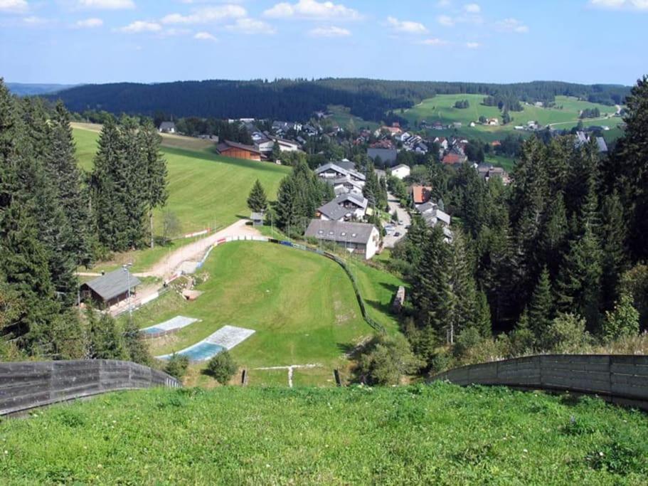 Wohlfuehl-Ferienwohnung Im Luftkurort Schoenwald 3-Z-Ferienwohnung Dış mekan fotoğraf